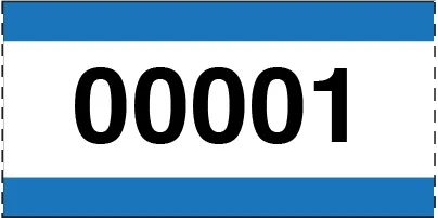 Large Print Numbered Single Roll Ticket